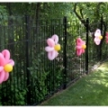Flowers along the fence