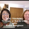 Dog Training: To Crate or Not to Crate