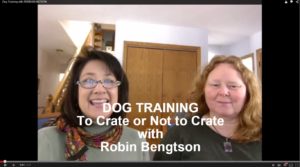 Dog Training: To Crate or Not to Crate